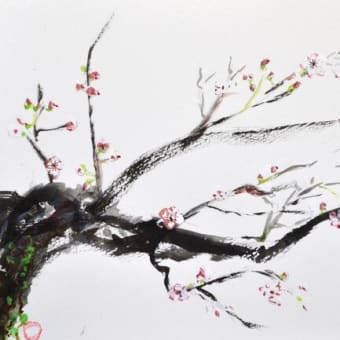 水彩画 梅 - 奥さんの水彩画