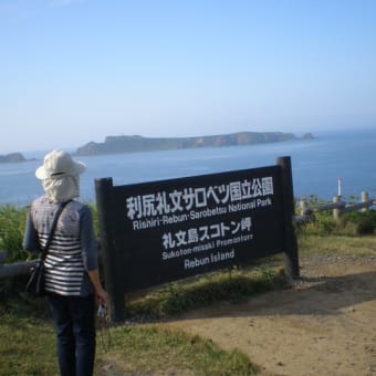 礼文島…利尻島へ