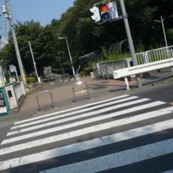 多摩湖周遊道をプチツ