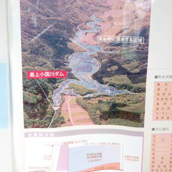 建設中の最上小国川ダム　2019年8月撮影