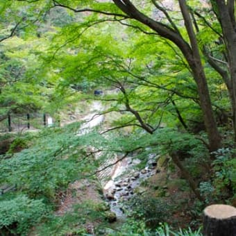 養老の滝