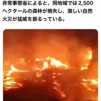 世界動乱速報❗️最新🔥6/24 イラン降伏⁉️