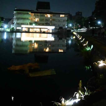 奈良ホテルのビアテラスで暑気払い
