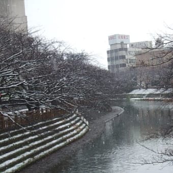 寒い松川の朝
