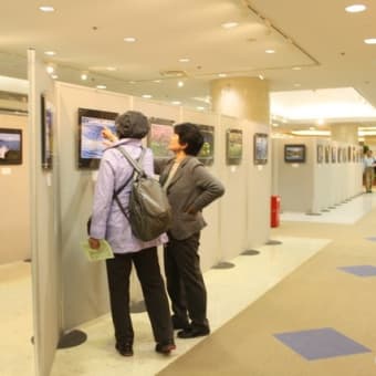 第２回「四木友の会」写真展（２０１７年）開催中