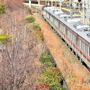 【東武70000系甲種と75レを撮る～岸辺陸橋～】