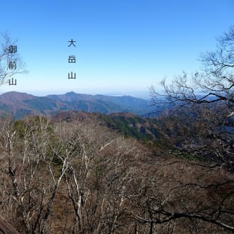 都民の森～三頭山を歩く