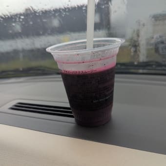 やる気スイッチとピュットボタン欲しい。