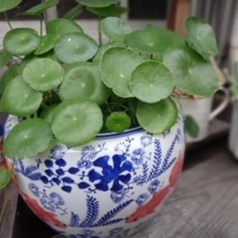 決断