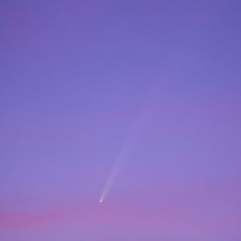 紫金山・アトラス彗星
