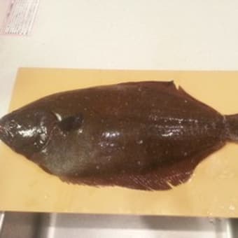 ヒラメ ホップ ステップ エイジング