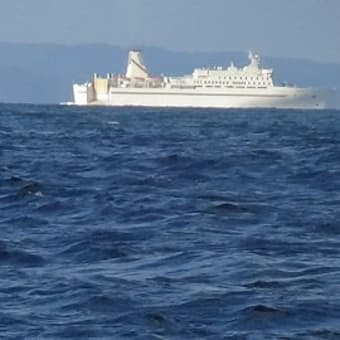 佐賀の美食と開運祈願　佐賀県・玄海諸島有人島全８島めぐり３日間　４３回目　馬渡島・松島