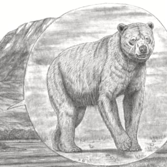『モンスター熊の衝突！  フラカン＆アルクトドゥス ： ジャイアントショートフェイスベアの形態型』  'The G. S. F. Bear Ecomorphs'　投票結果 