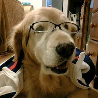 ざわざわ
