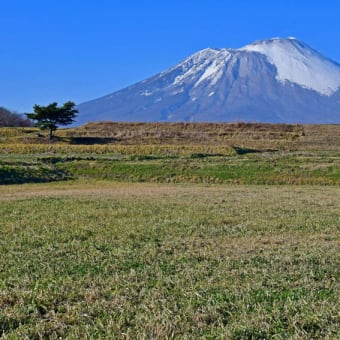 この冬に見た白いお山まとめ（2019年12月、2020年1月、2月）