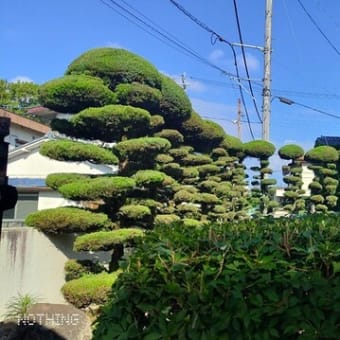 空調服　いよいよ出番です