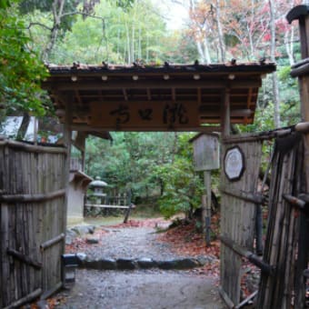 2011年12月3日（土）　滝口寺