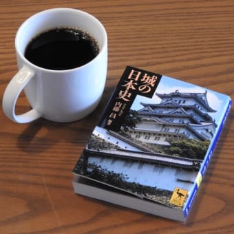 「城の日本史」内藤  昌