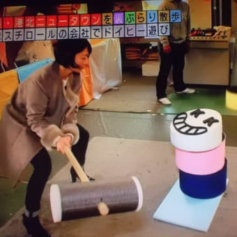 発泡スチロールで…