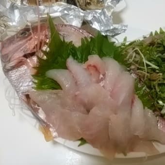 2017年7月3日　月曜日　鯛の活き造り