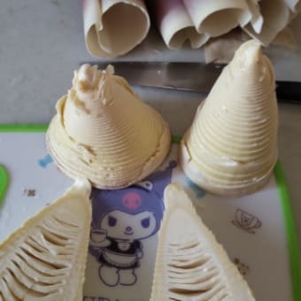 スロークッカーでたけのこ!