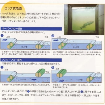 ある提案