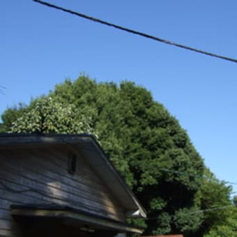アカハラ疑惑