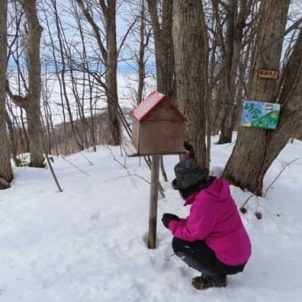 久々の雪山ハイク