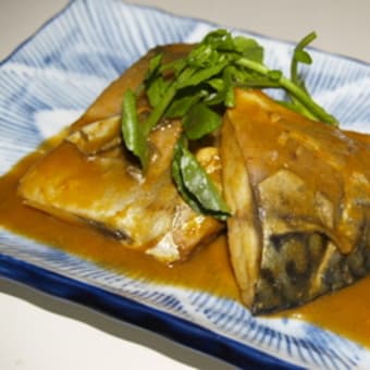 鯖のピリ辛味噌煮（FEB.26.2009）
