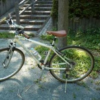 多摩湖自転車道