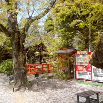 愛宕神社と出世階段