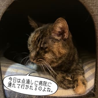 今日も点滴行くの・・・？