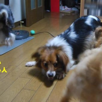 閉口気味