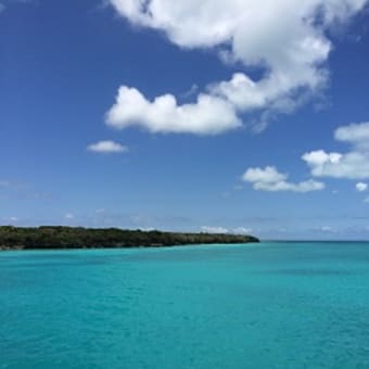 エスティアグループ社員旅行INニューカレドニア