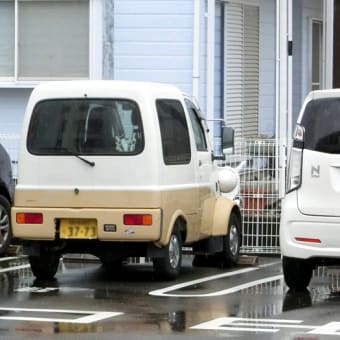 気になる車たち