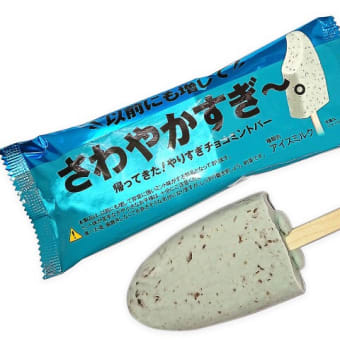 ミントの爽快感がすごい‼️🍃チョコミント好きにおすすめのアイス🍨💕