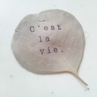 C'est  la  Vie (セラヴィ）