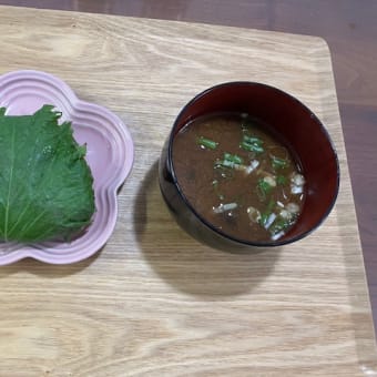 心配なこと＆シソおにぎﾘﾘ