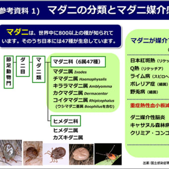 「セアカゴケグモ・マダニなど危険生物に関する講習会」