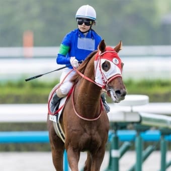 クレッシェンドラヴ 出資者限定 ぬいぐるみ