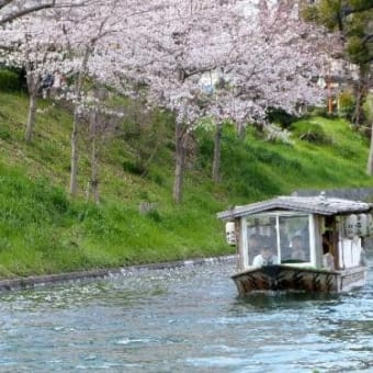 京都　伏見・観光船「十石舟」2024年3月16日～12月8日