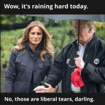 Ahh, We Need Umbrellas For All Those Liberal Tears. ๐๐๐๐๐๐
๐๐คฃ๐๐๐ง๐ข๐ญ๐คกโ๏ธ๐บ๐ธ