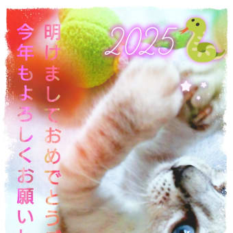 gooブログなくなるとは…。