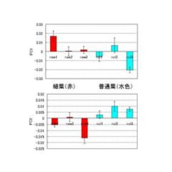 シメノウチの種子形態