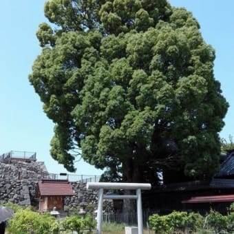 平成30年5月例会・大和郡山2回目