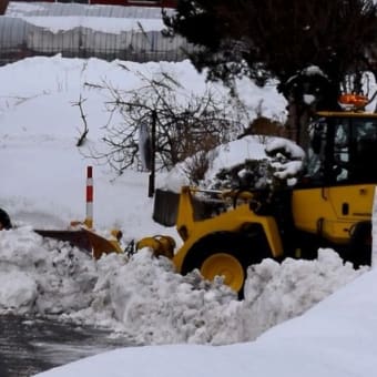 現場部隊業務報告（１～２月）