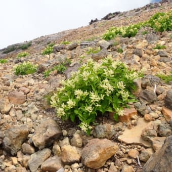 木曽御嶽山へ