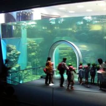 しものせき水族館『ペンギン村』オープン