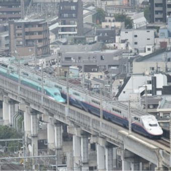 曇り空の北とぴあにて