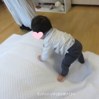 ニド（0歳クラス）（2025年2月）